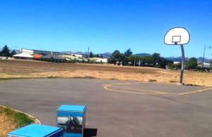 aa website basketball court